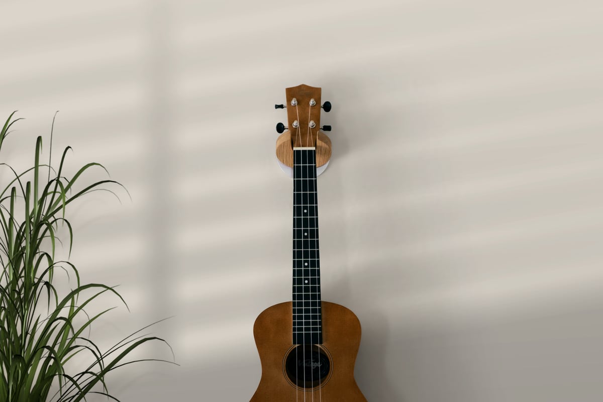 A ukulele hung on the wall