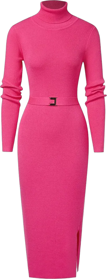Belted turtleneck knit dress